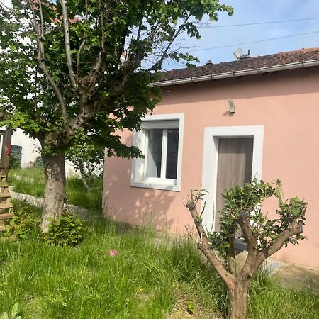 Charmante Maison Avec Jardin Aux Portes De Paris Vitry-sur-Seine Exteriér fotografie
