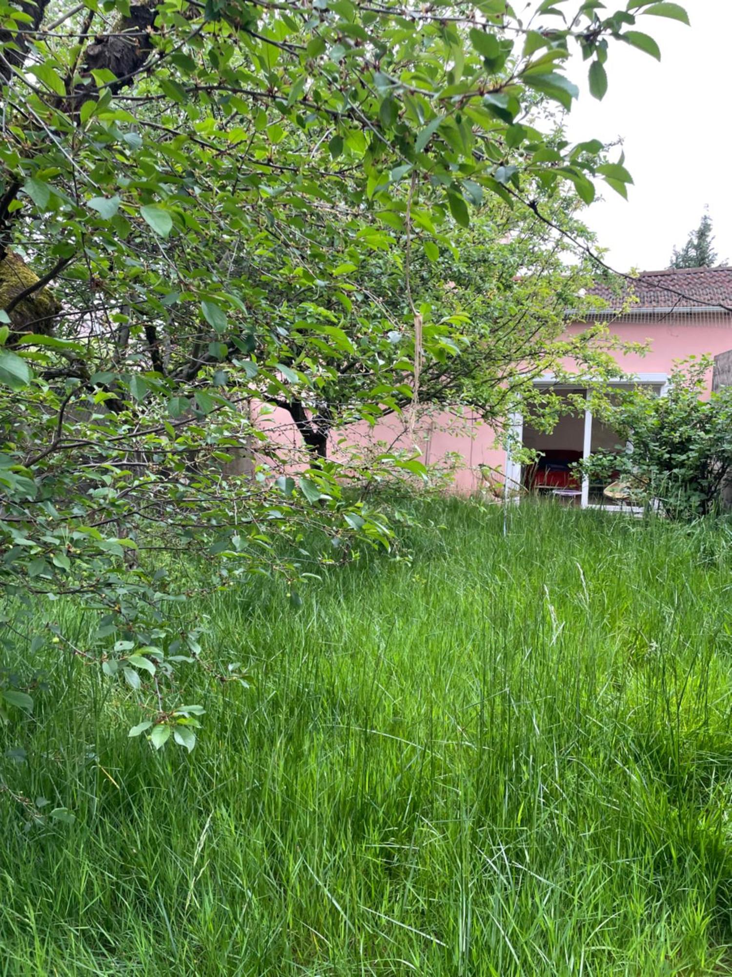 Charmante Maison Avec Jardin Aux Portes De Paris Vitry-sur-Seine Exteriér fotografie